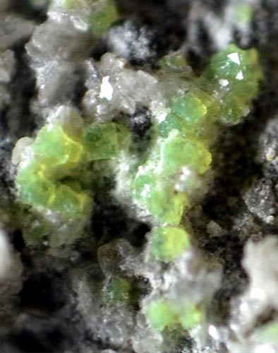 Schrockingerite and Andersonite